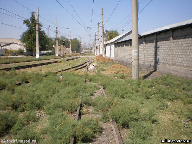 Сулюкта.Фотография 9