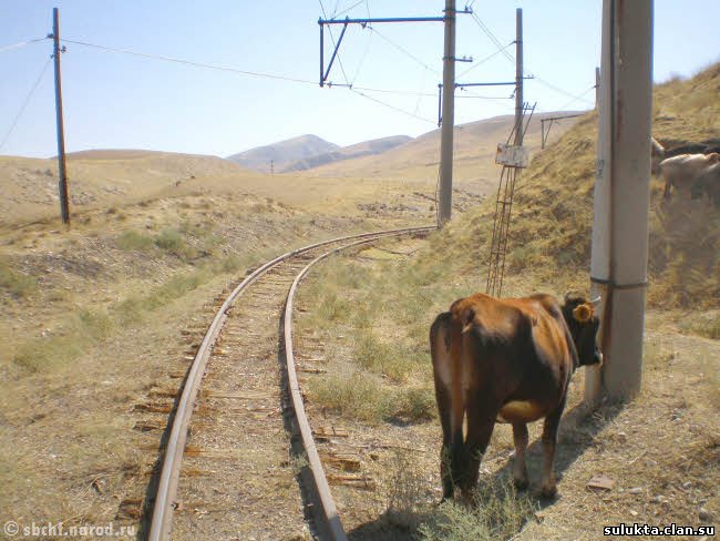Сулюкта.Фотография 5