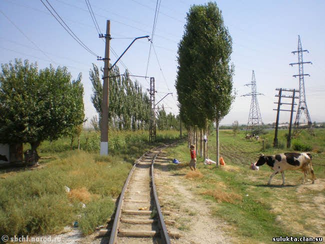 Сулюкта.Фотография 4