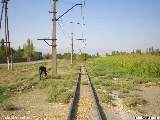 Сулюкта.Фотография 10