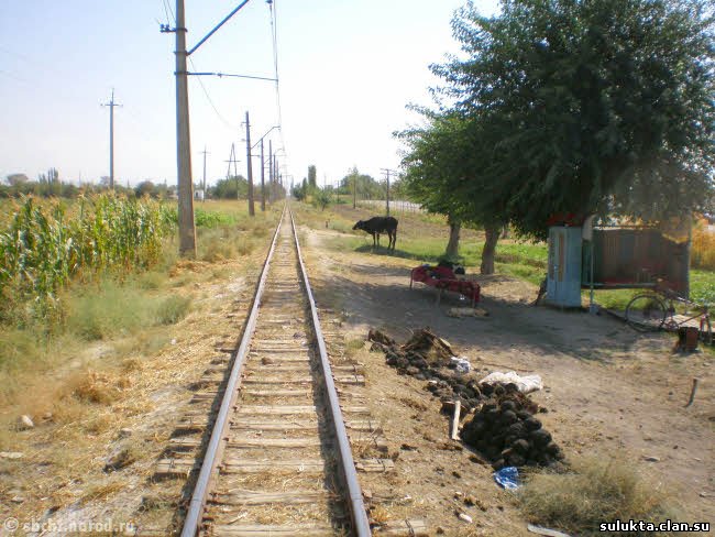 Сулюкта.Фотография 6