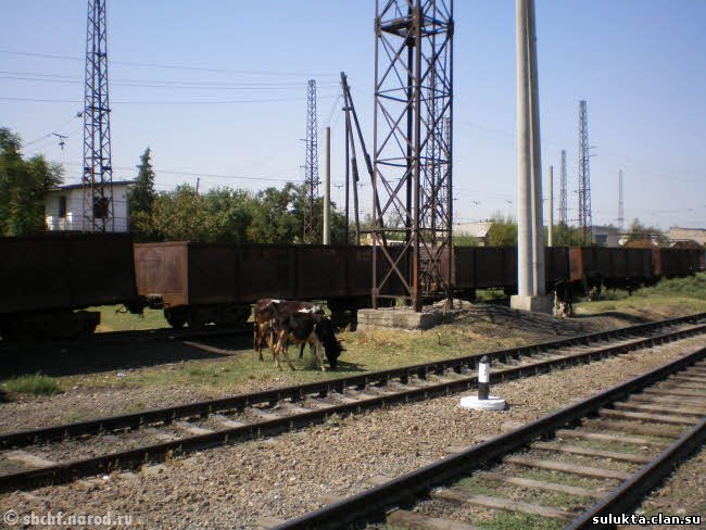 Сулюкта.Фотография 4