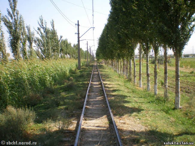 Сулюкта.Фотография 6