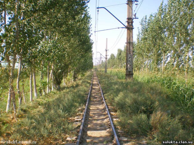 Сулюкта.Фотография 9
