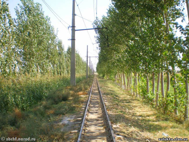 Сулюкта.Фотография 8