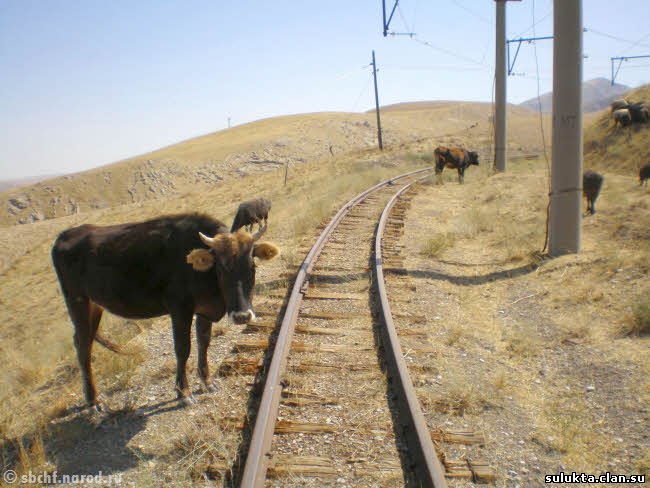 Сулюкта.Фотография 2
