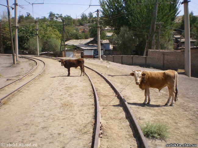 Сулюкта.Фотография 4
