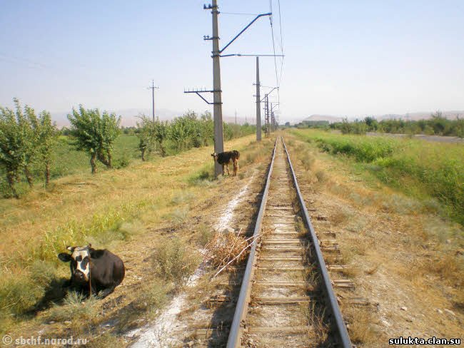 Сулюкта.Фотография 10