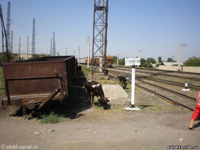 Сулюкта.Фотография 2